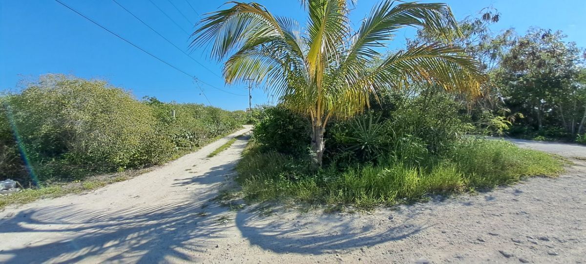 1 de 3: Zona costera Yucatán