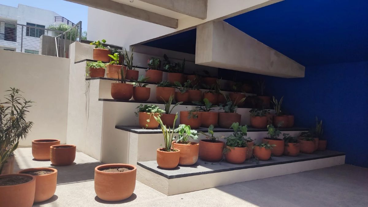 6 de 13: Terraza área común