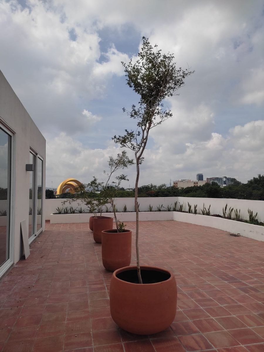 1 de 13: Vista de la Terraza