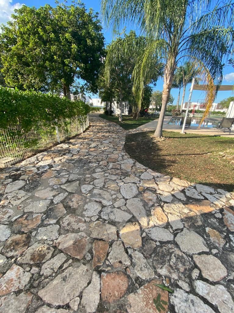 19 de 34: caminos para hablar