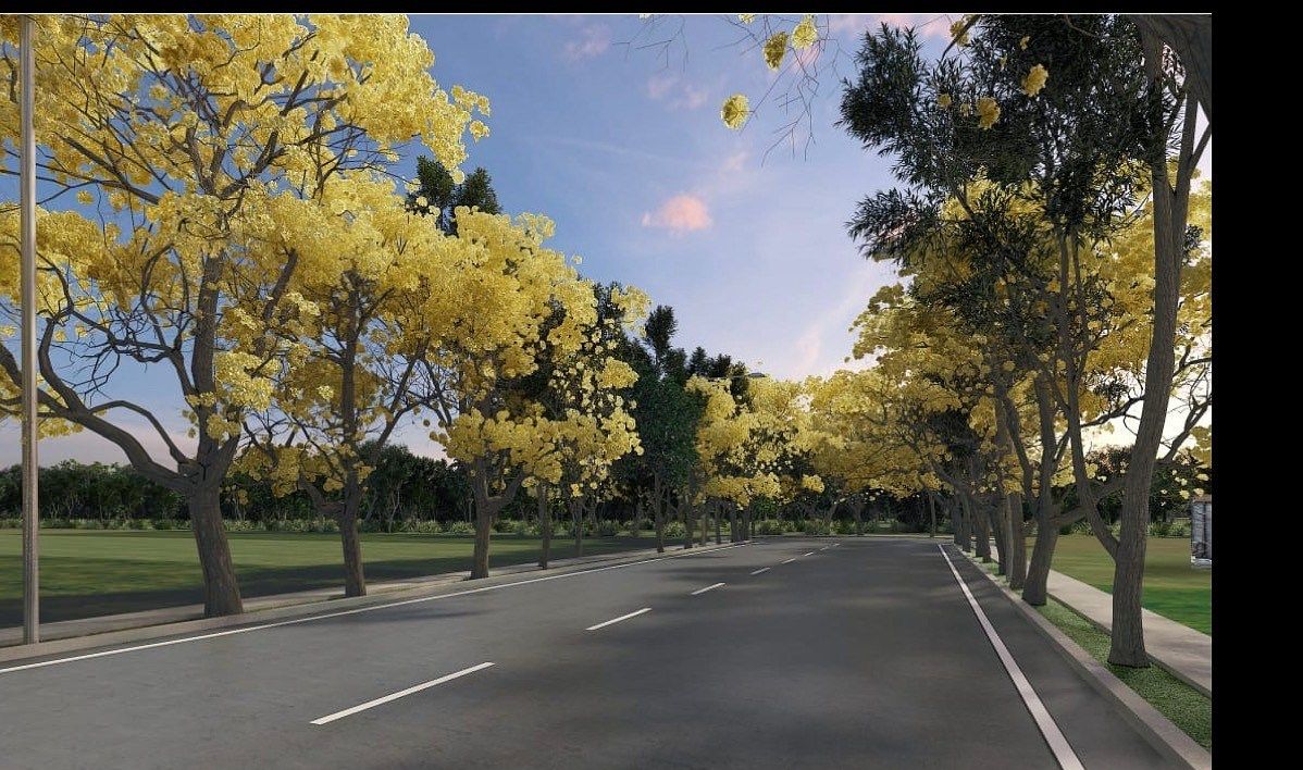 Terreno en Komchen, Mérida, foto 6 de 6