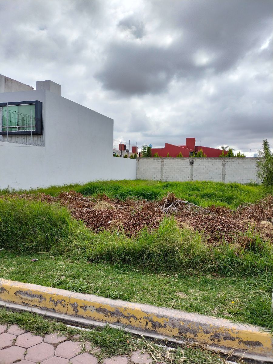 Imagen 4 de 4