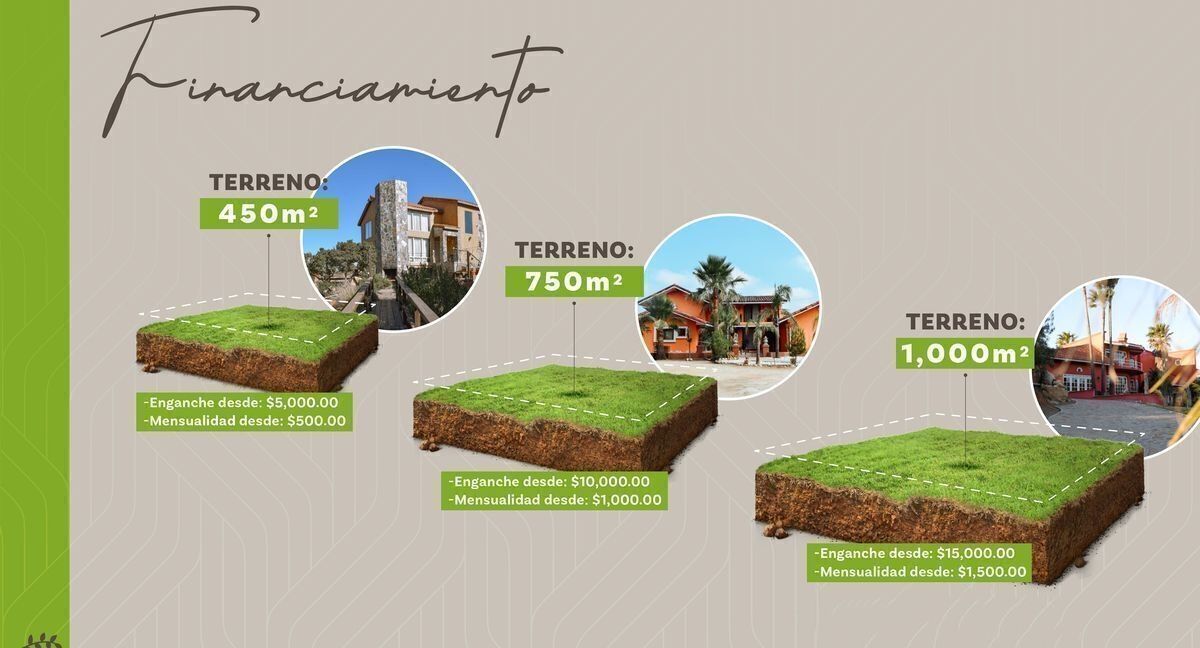 Imagen 5 de 10