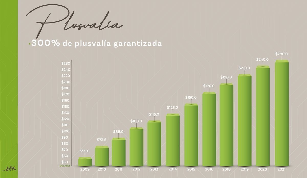Imagen 8 de 10