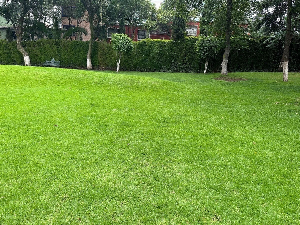 2 de 20