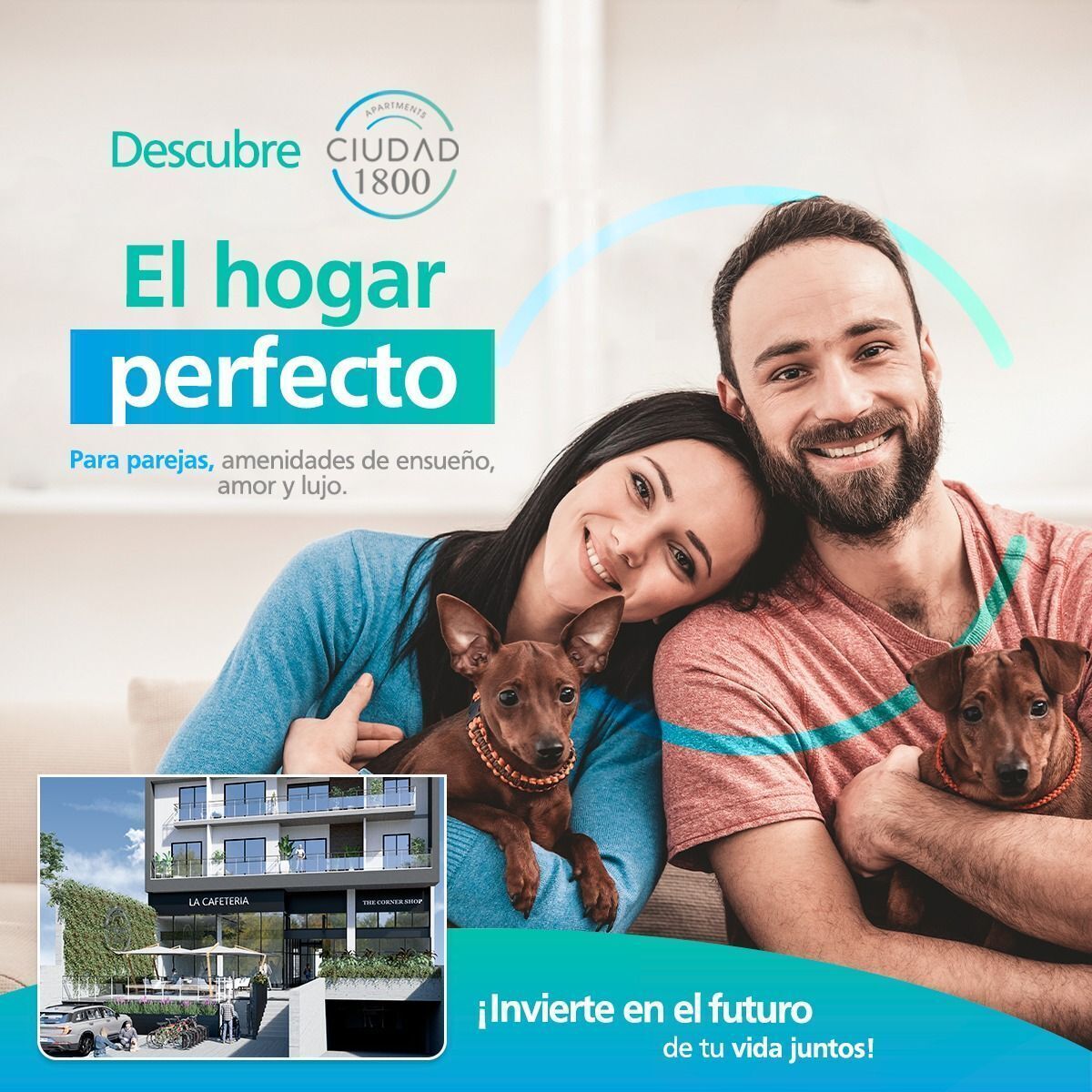 5 de 12