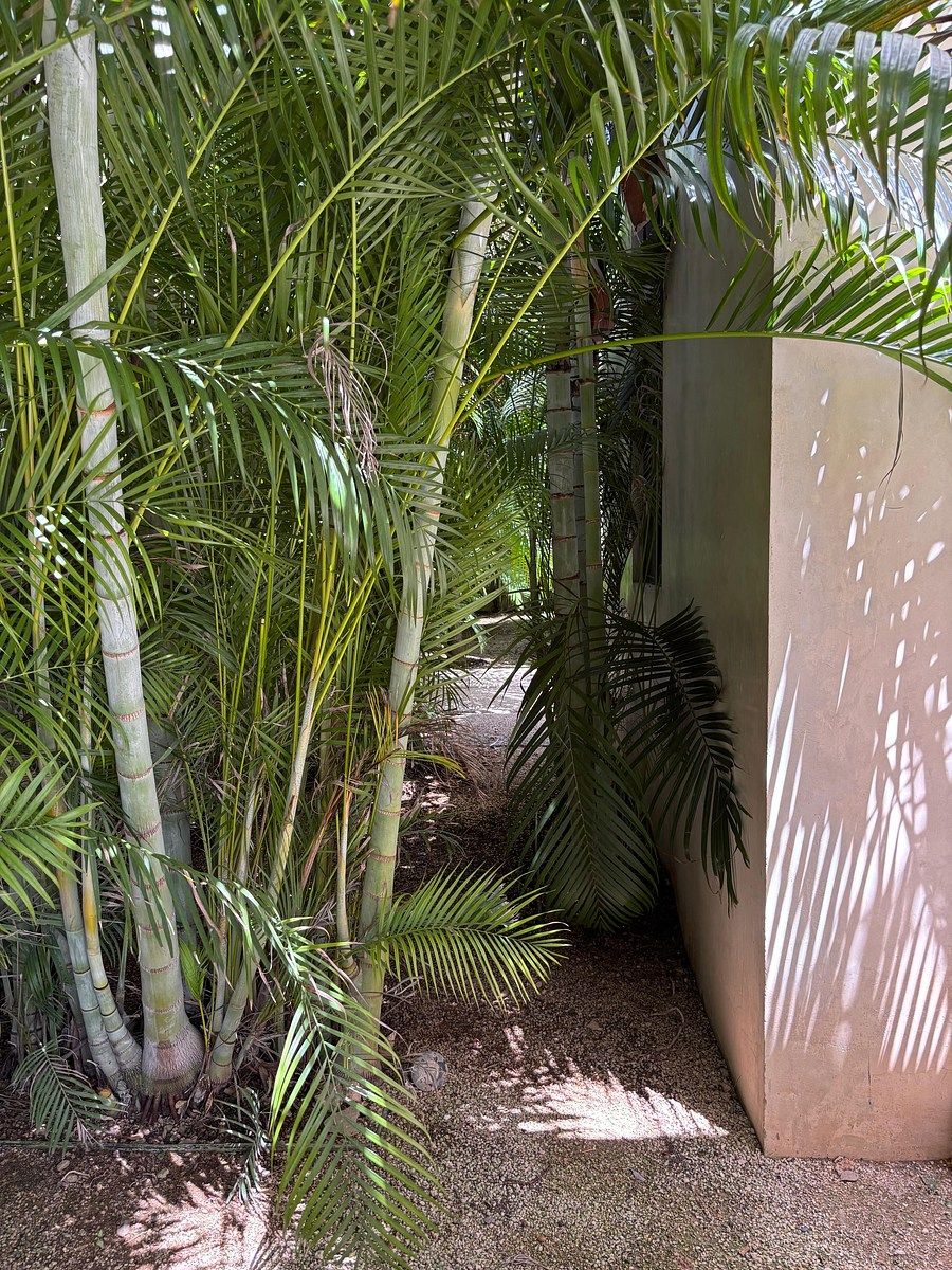 Casa em Yucatán Country Club, Mérida, foto 2 de 29