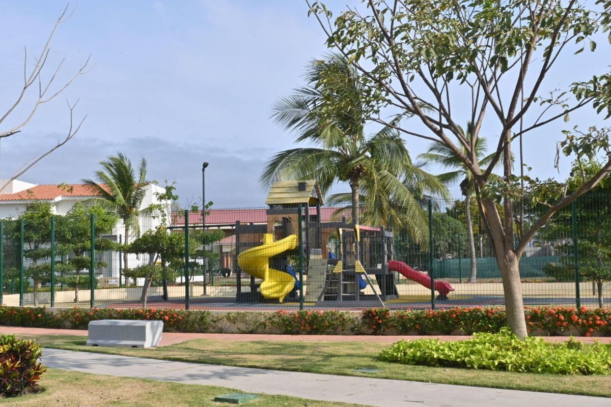 11 de 12