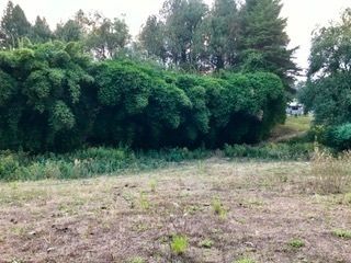 Terreno en Peña Blanca, Valle de Bravo, foto 6 de 9