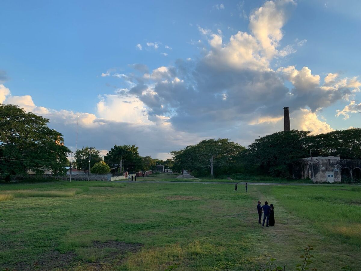 7 de 19