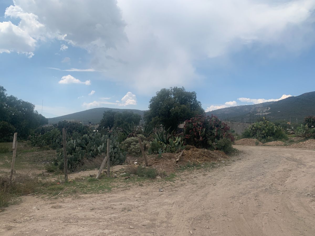 11 de 16