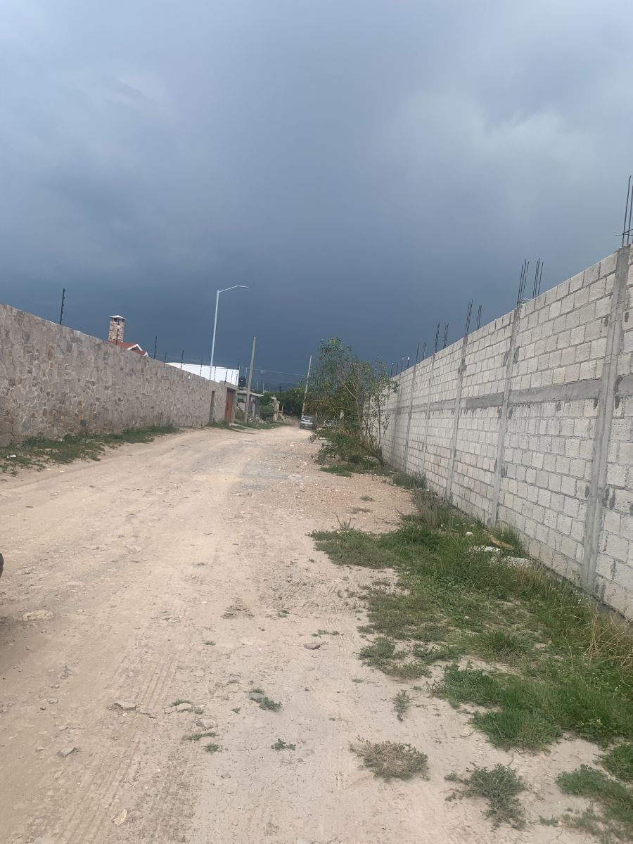 12 de 16