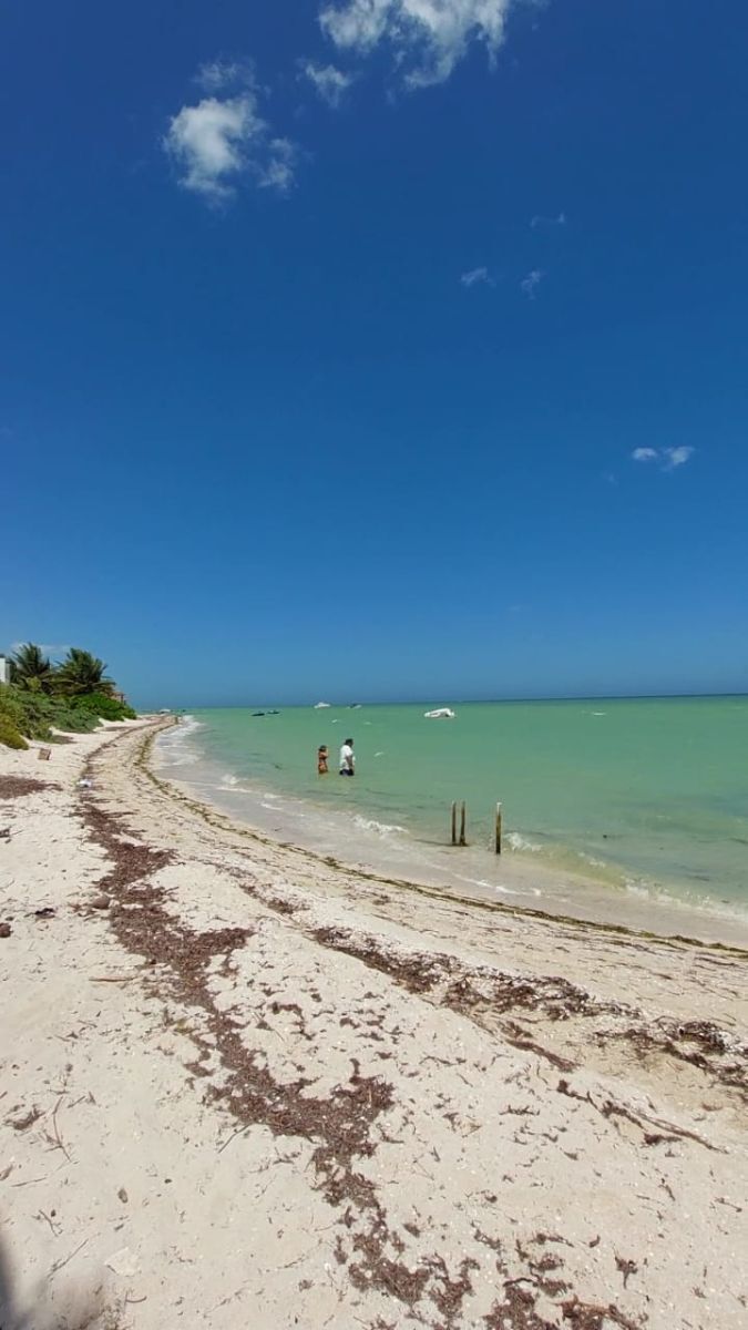 Imagen 4 de 4