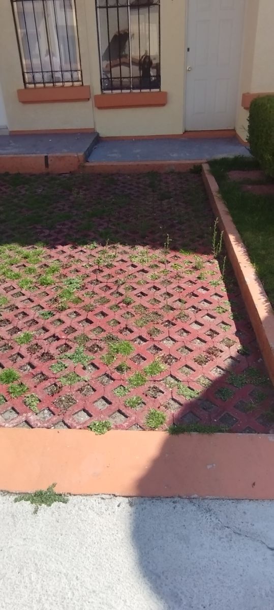 Estacionamiento