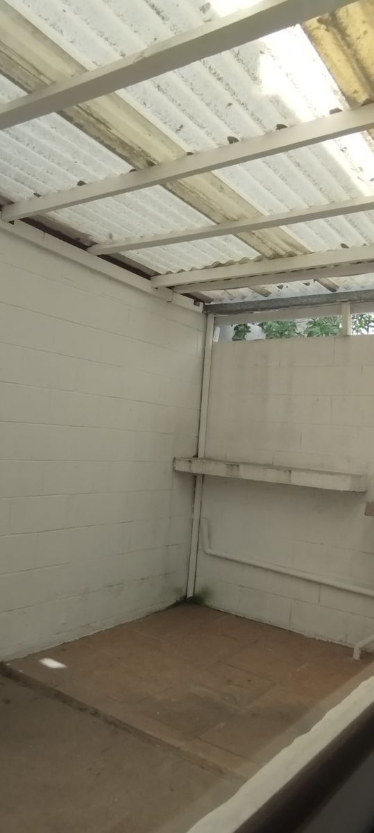 Patio trasero