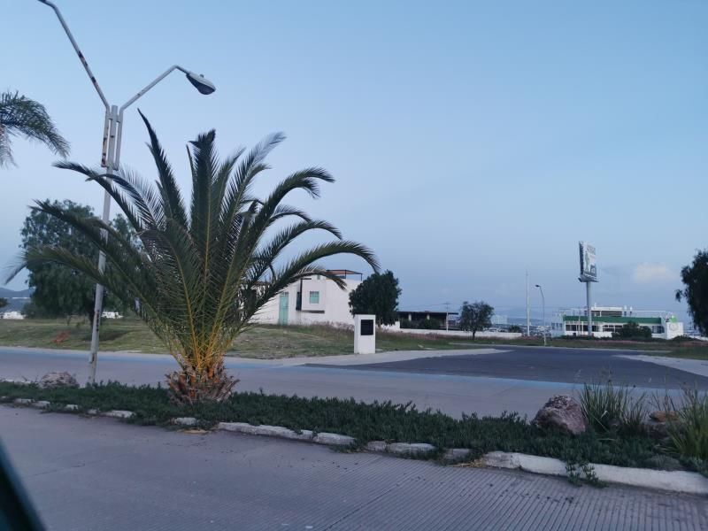 1 de 7