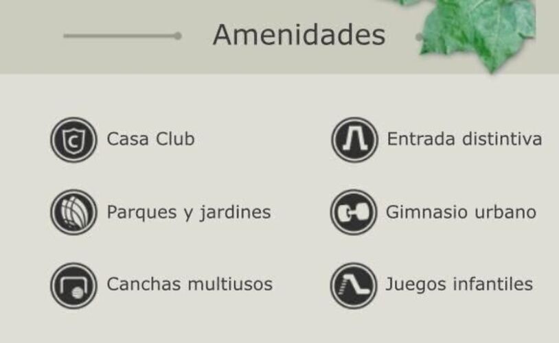 4 de 16
