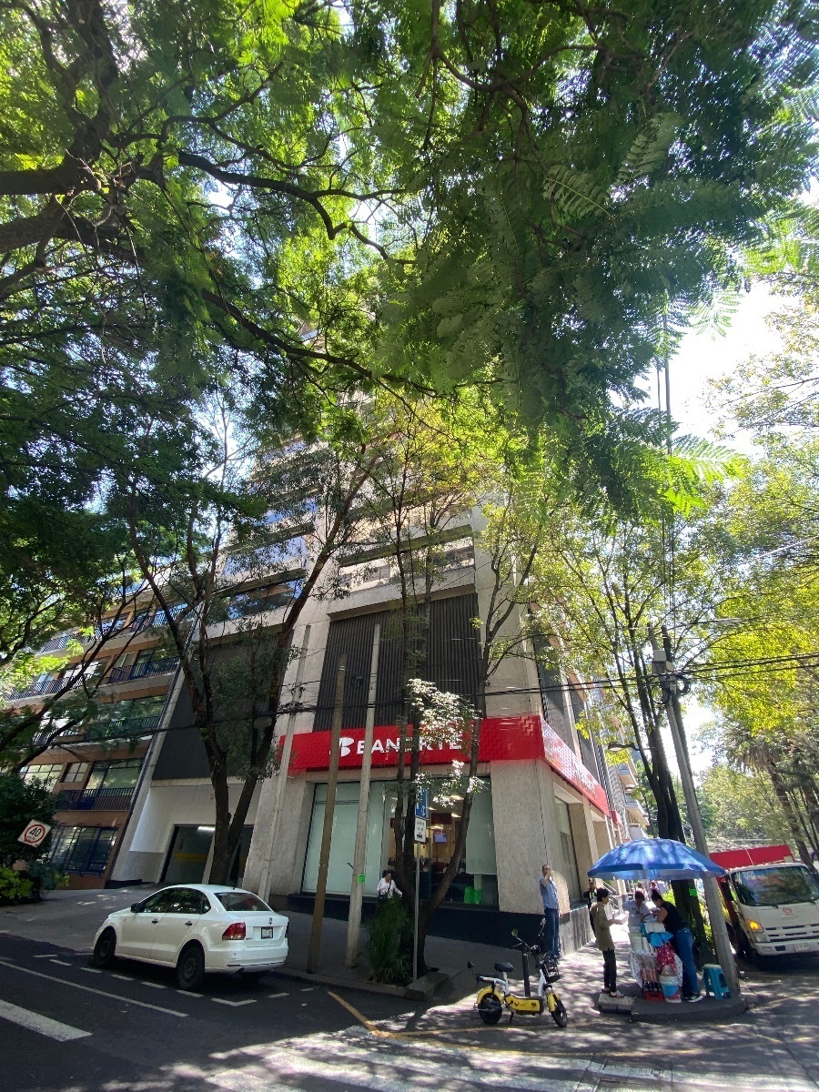 3 de 16