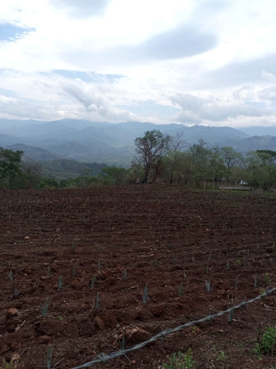 Terreno en Venta en Pihuamo Jalisco, Predio Rustico "La Enrramada"