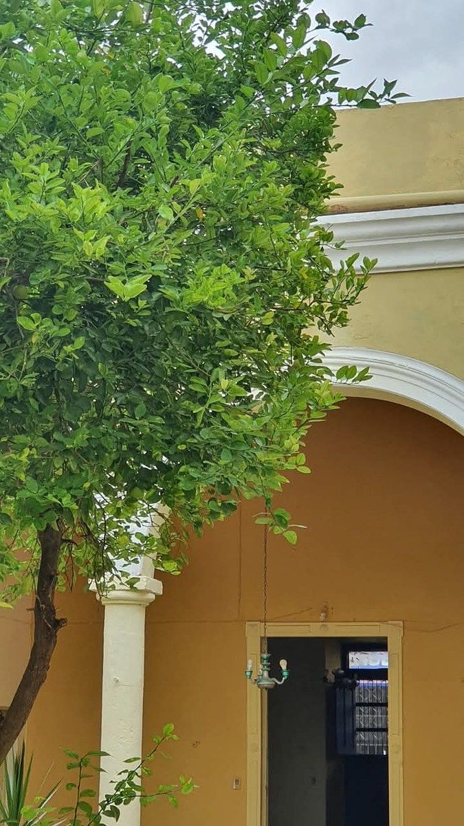 Casa en Mérida Centro, Mérida, foto 12 de 16