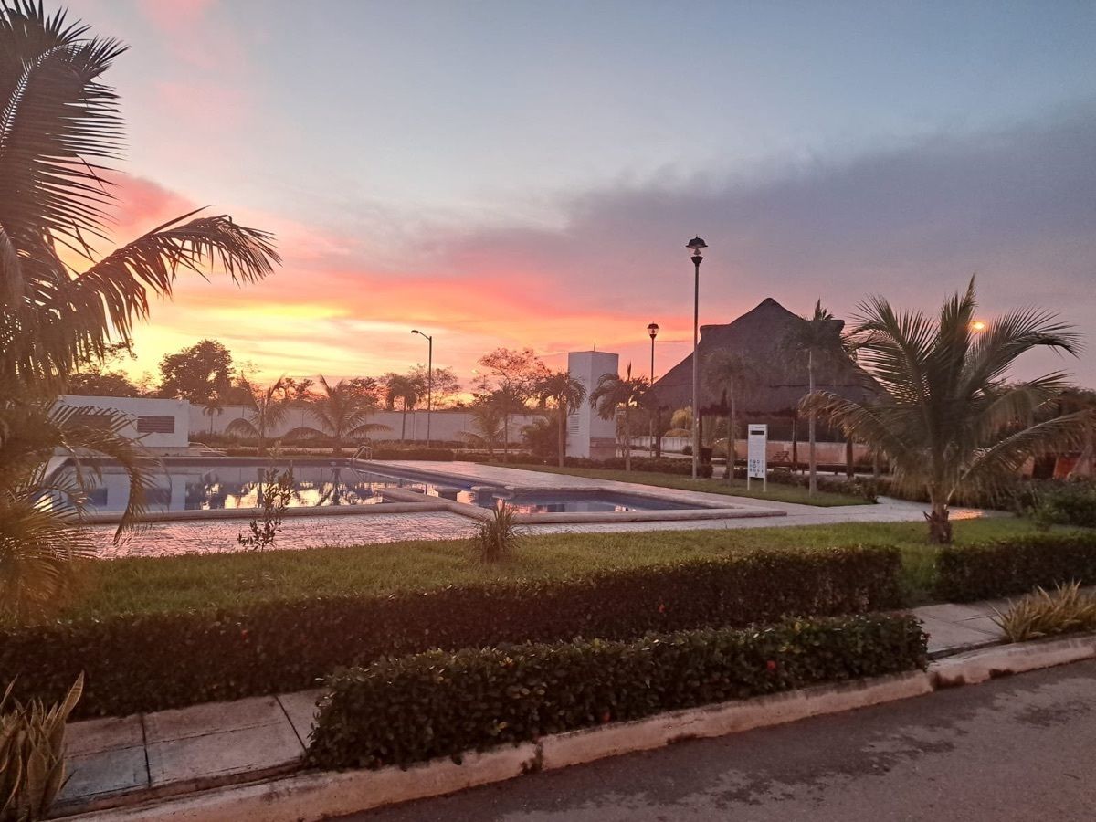 28 de 31