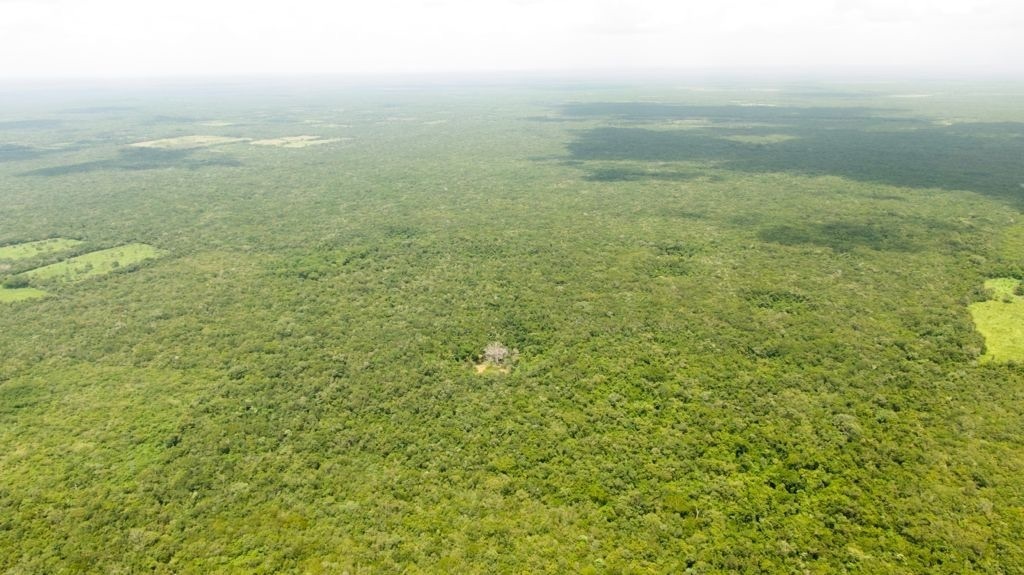 3 de 5: Terreno en venta en Yucatán