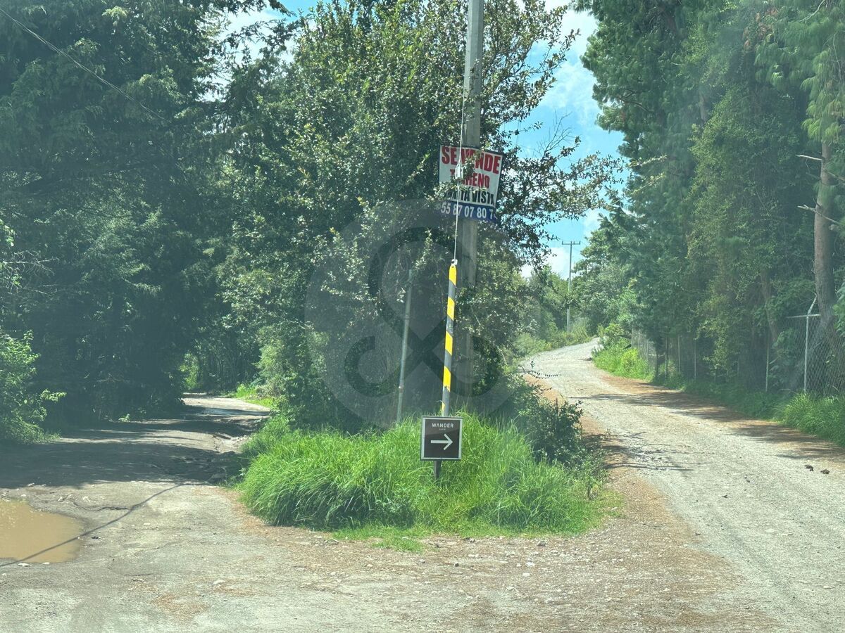 14 de 20