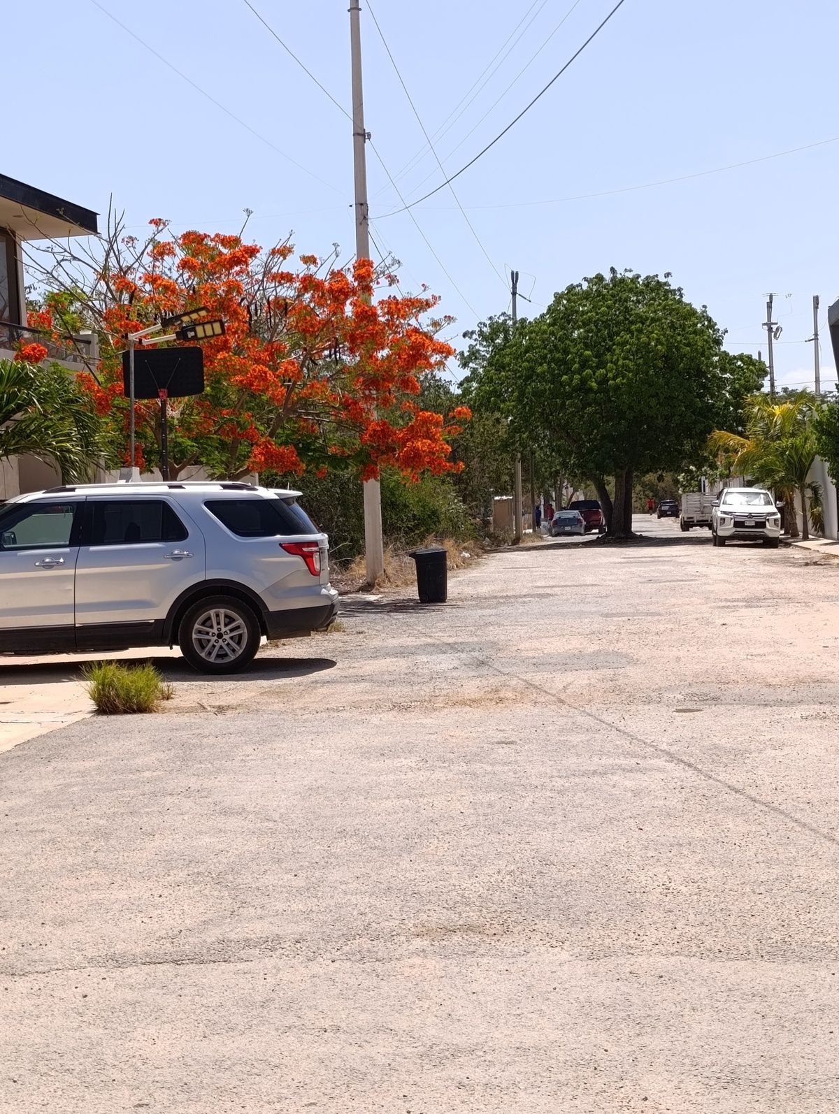 23 de 24