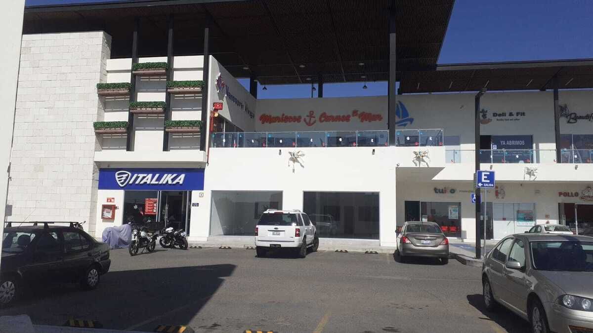 2 de 6