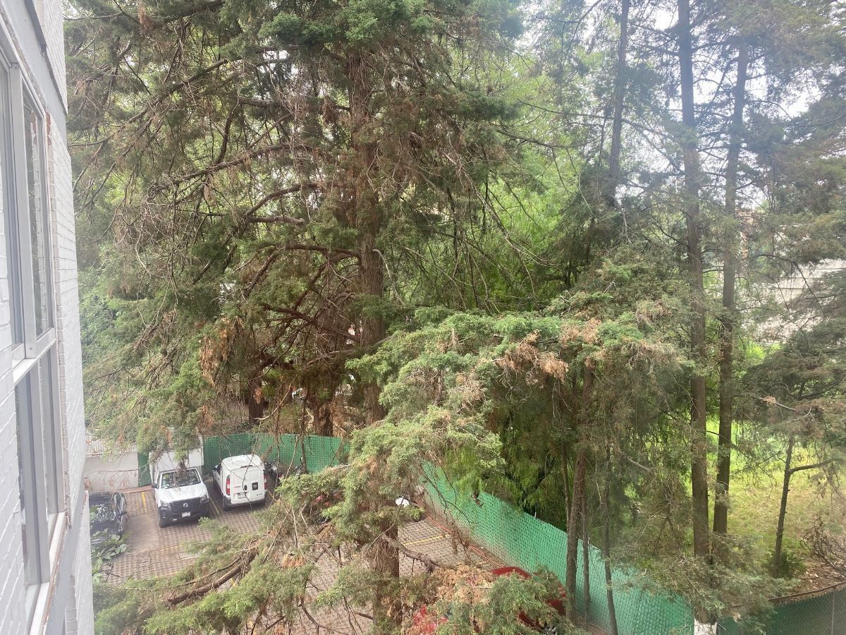 10 de 16: Departamento en Renta en Florida Tips Inmobiliarios ®