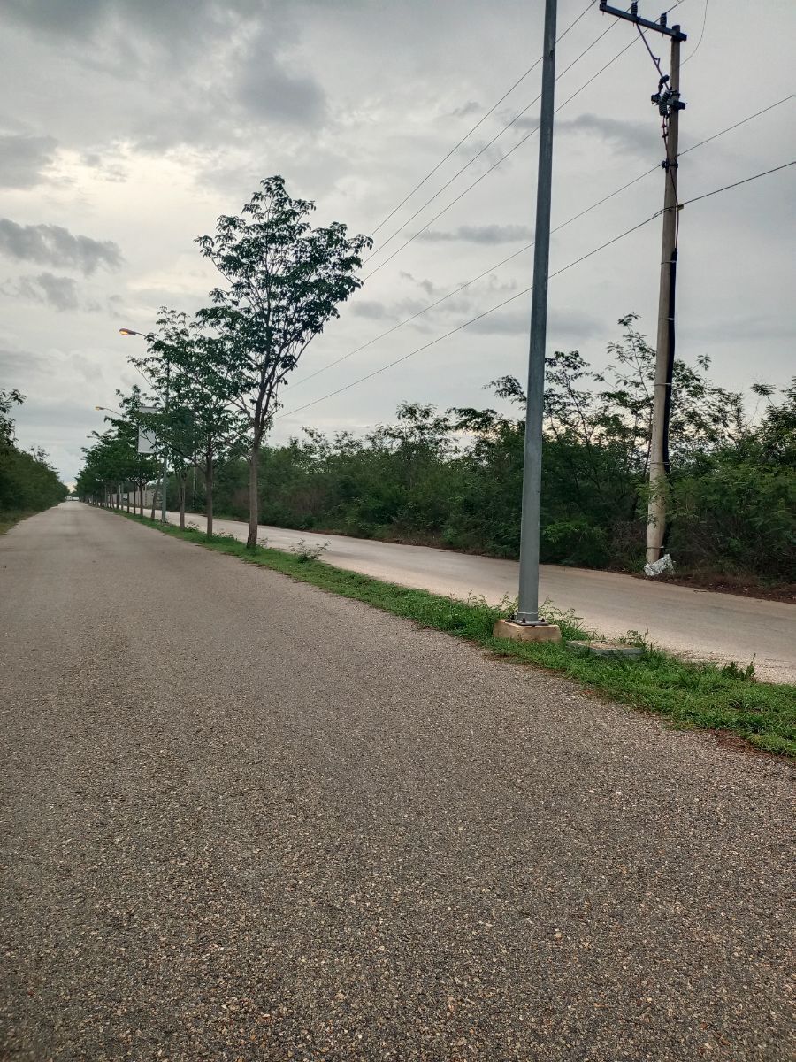 5 de 8: Avenida que lleva a Residencial La Reserva