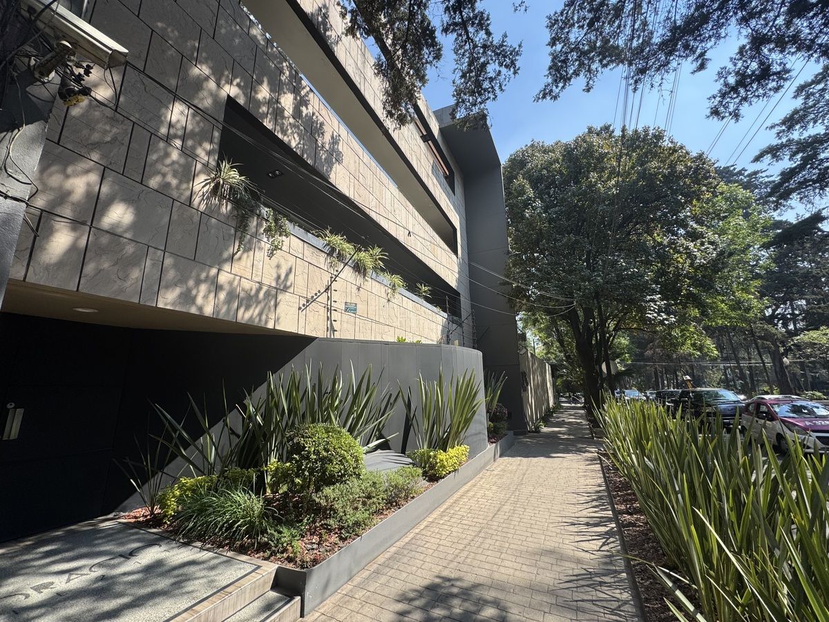 VENTA PH EN POLANCO EN LA CALLE DE HORACIO - foto 3
