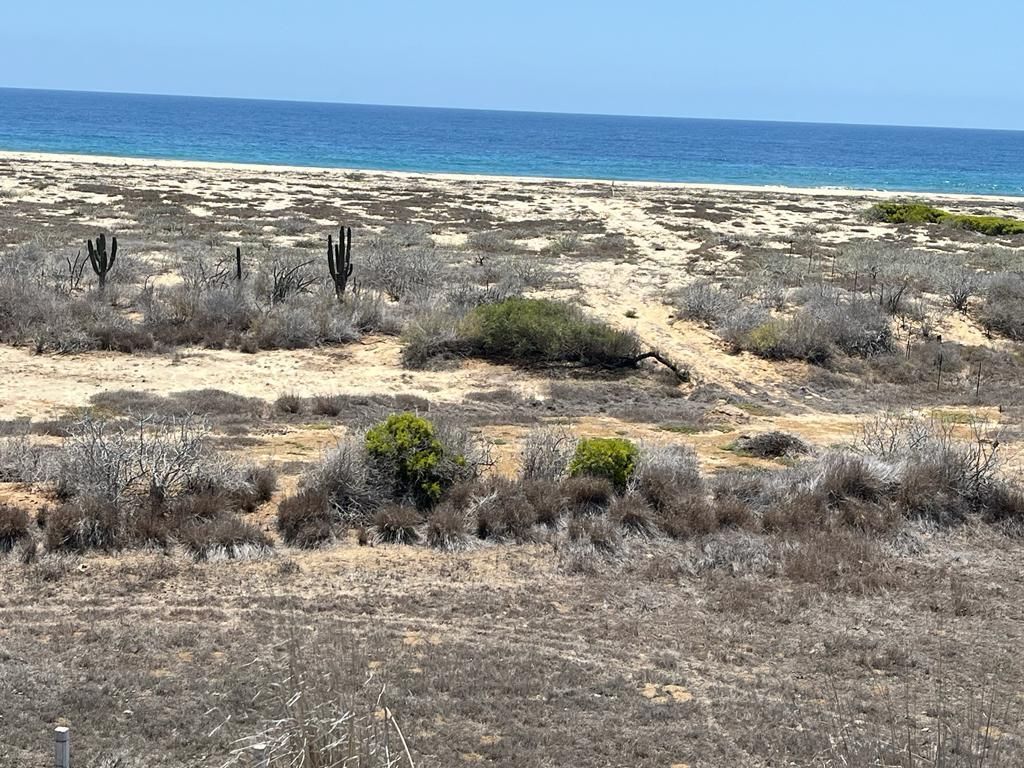 Beachfront en Elias Calles, Todos Santos EasyAviso