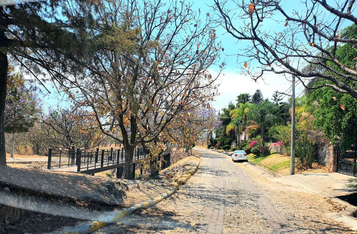 2 de 6