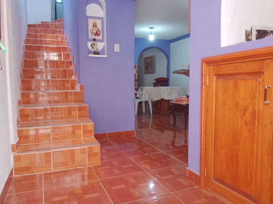 6 de 11