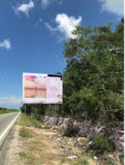 Terreno en Pueblo Telchac Puerto, Telchac Puerto, foto 3 de 4