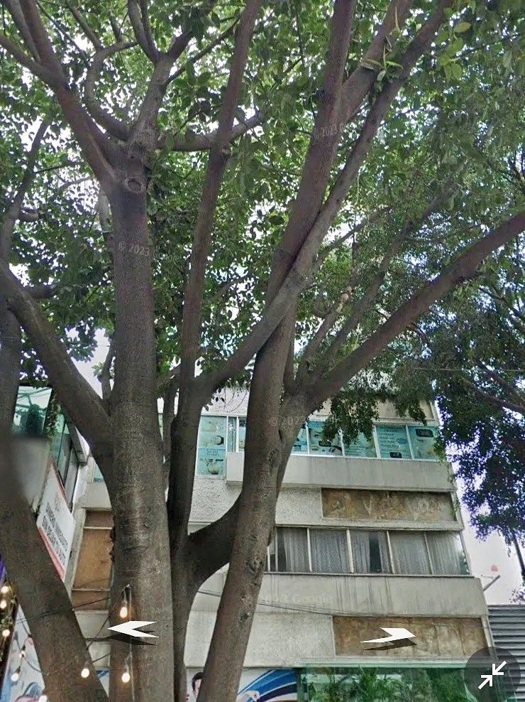 31 de 31
