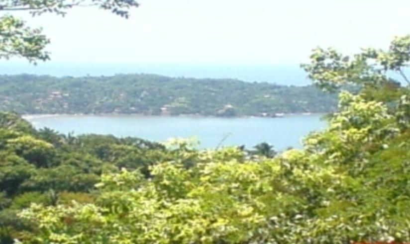 Imagen 3 de 7