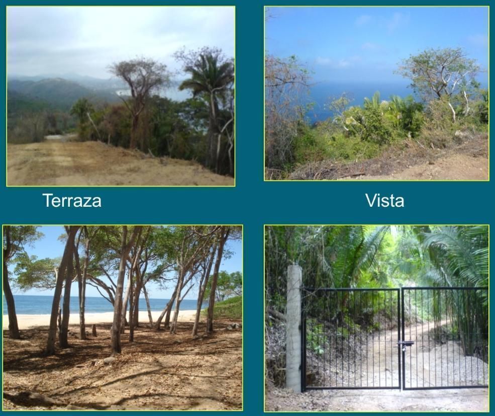 Imagen 4 de 7