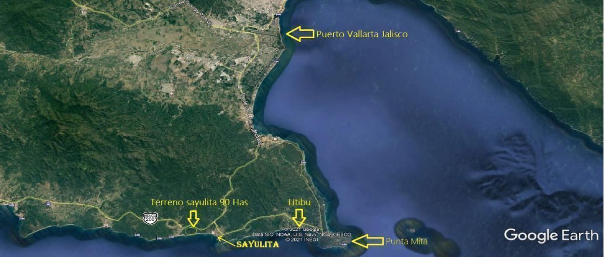 Imagen 7 de 7