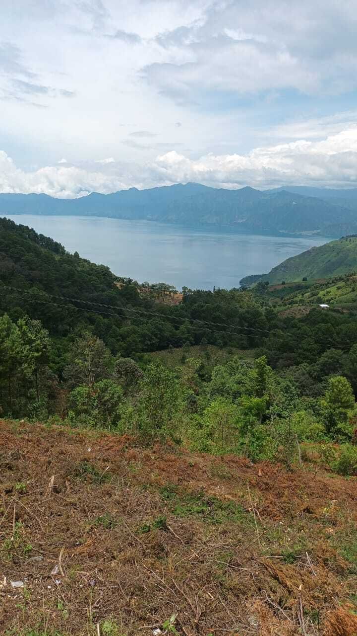 5 de 16