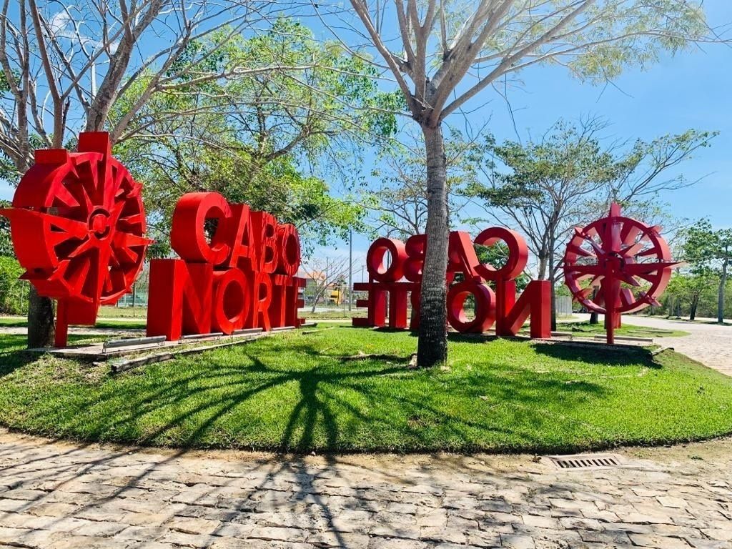 1 de 20
