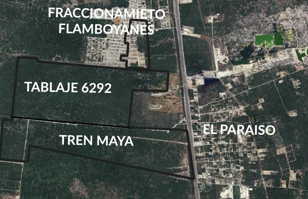 1 de 8