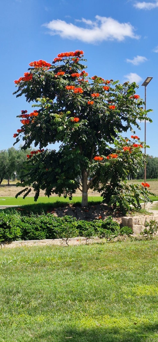 3 de 8