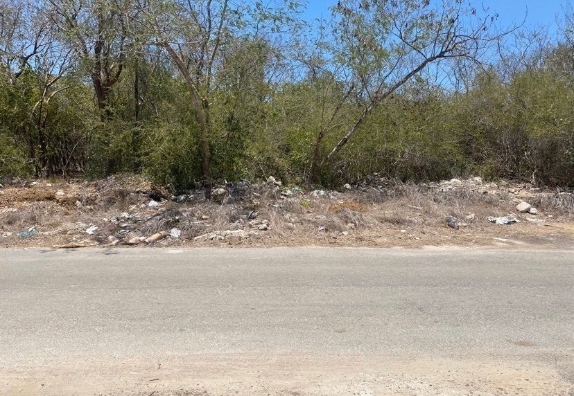 4 de 14: IMÁGENES PARA FINES ILUSTRATIVOS