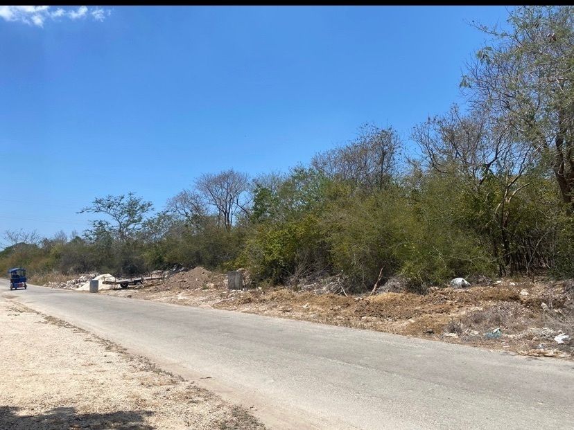 5 de 14: IMÁGENES PARA FINES ILUSTRATIVOS