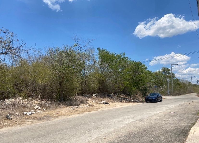 6 de 14: IMÁGENES PARA FINES ILUSTRATIVOS