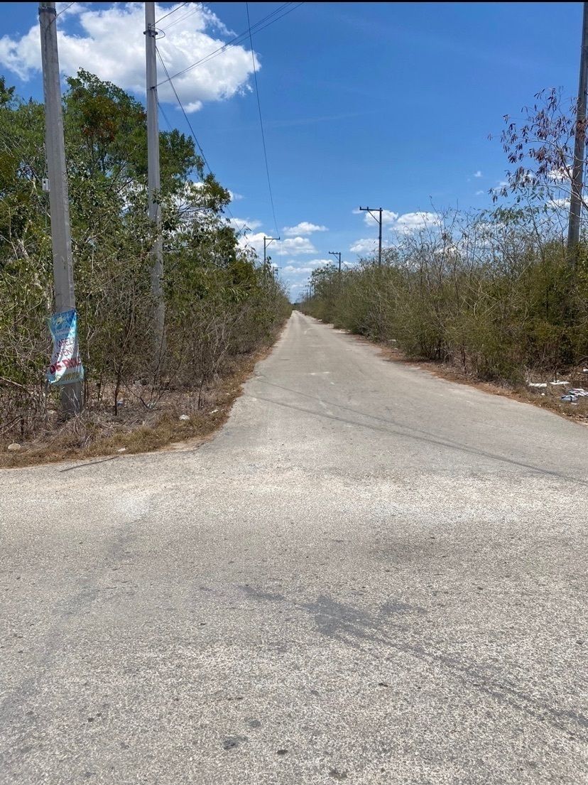 7 de 14: IMÁGENES PARA FINES ILUSTRATIVOS