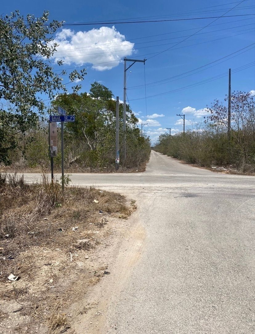 10 de 14: IMÁGENES PARA FINES ILUSTRATIVOS