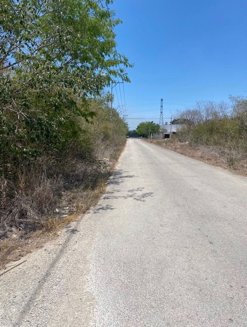 12 de 14: IMÁGENES PARA FINES ILUSTRATIVOS